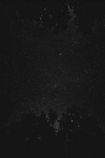 In The Dead Of The Night Cover